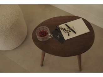 Programa de Nutrición Holística