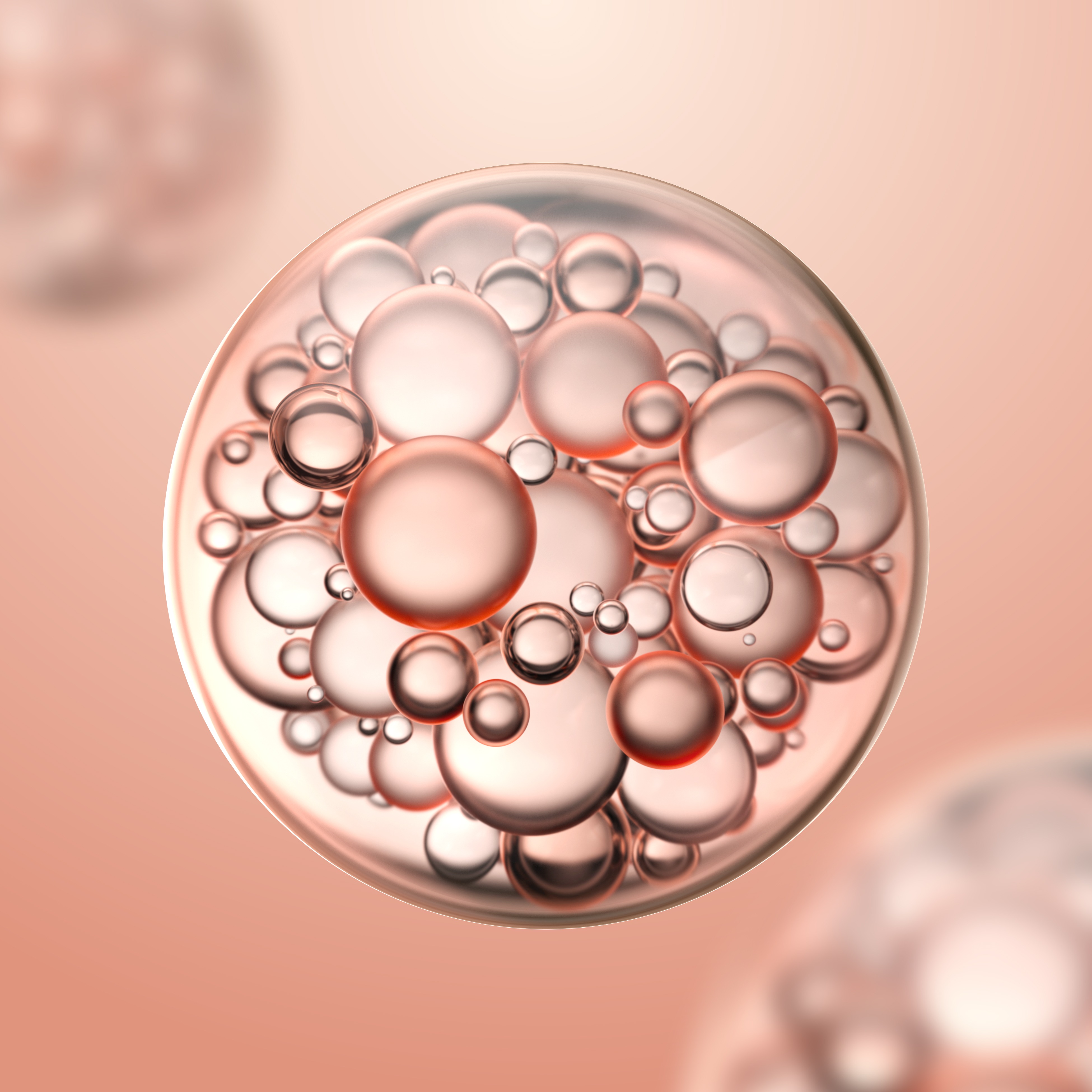 Enzimas Digestivas: clave para una digestión ligera y sin malestar